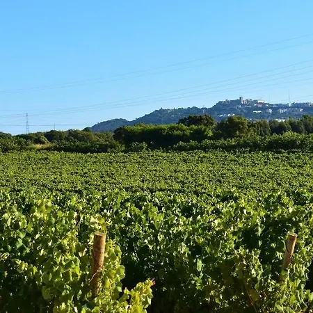 Villa Monte Do Loureiro